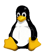 Sitting Penguin with pointy beak
